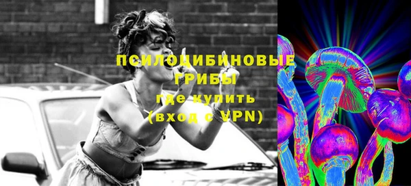 ПСИЛОЦИБИНОВЫЕ ГРИБЫ Балахна