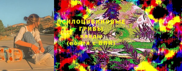 ПСИЛОЦИБИНОВЫЕ ГРИБЫ Балахна